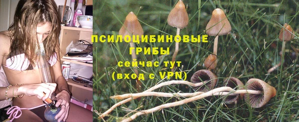 спиды Зерноград