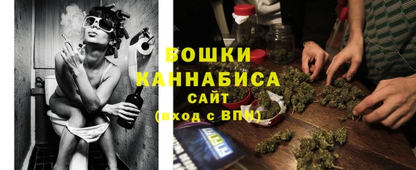 spice Зеленодольск
