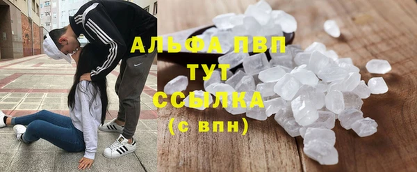 хмурый Зеленокумск