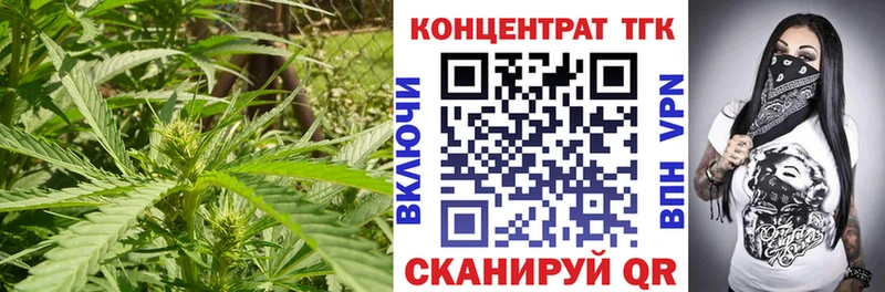 Купить где  Вилючинск  ТГК гашишное масло 